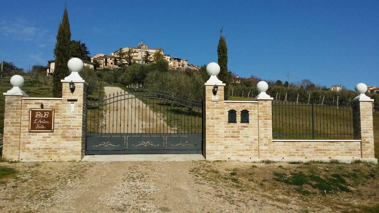 Spinetoli B&B L' Antica Fonte מראה חיצוני תמונה